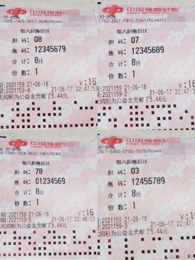 王中王四肖精選一肖新聞，揭秘背后的故事與趨勢，王中王四肖精選揭秘，背后的故事與趨勢聚焦一肖新聞