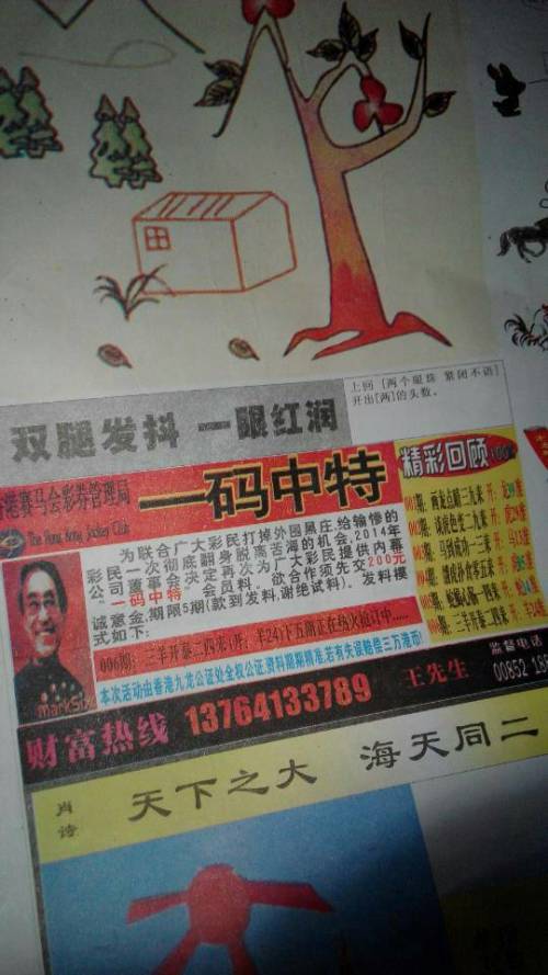 欲錢(qián)詩(shī)猜一肖——探尋王中王的奧秘，探尋王中王的奧秘，欲錢(qián)詩(shī)猜一肖