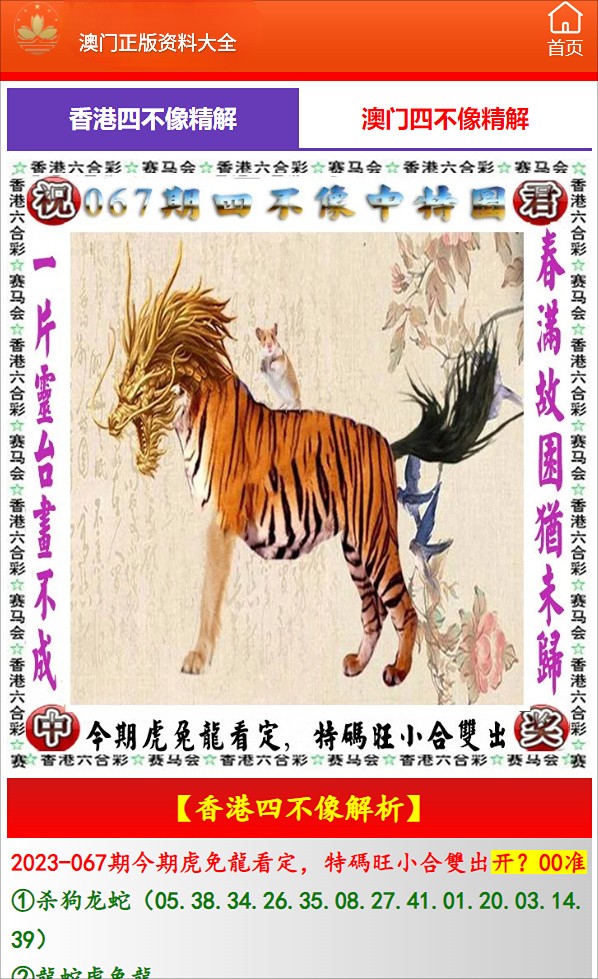 揭秘香港一碼一肖，真相究竟如何？，香港一碼一肖真相揭秘，探究背后的秘密？