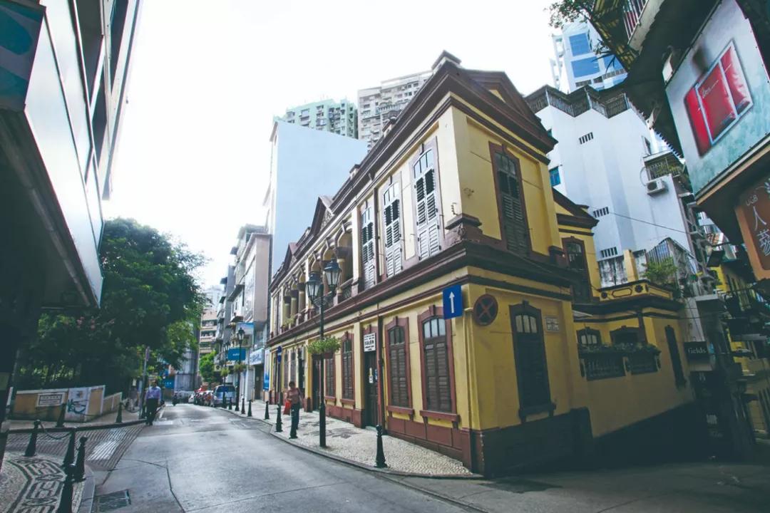 澳門今晚必開一肖，揭秘生肖運(yùn)勢(shì)與預(yù)測(cè)邏輯，澳門今晚生肖預(yù)測(cè)揭秘，生肖運(yùn)勢(shì)與預(yù)測(cè)邏輯分析
