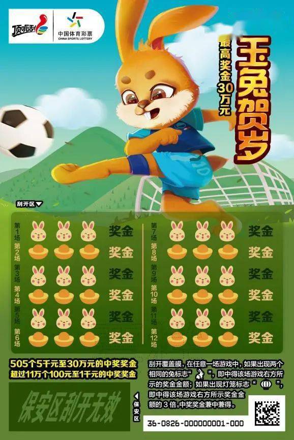 王中王一肖中特兔費(fèi)，探索關(guān)鍵詞背后的奧秘，探索關(guān)鍵詞王中王一肖中特兔費(fèi)背后的奧秘