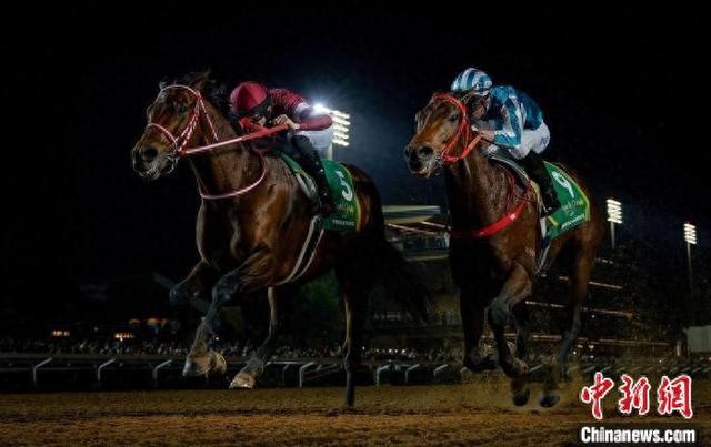 香港王中王一肖中特馬，探索背后的奧秘，香港王中王一肖中特馬背后的奧秘探索
