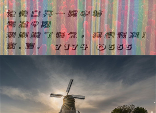 王中王四肖三期必出一期，揭秘彩票背后的秘密策略與技巧，揭秘彩票策略與技巧，王中王四肖三期必出一期之道