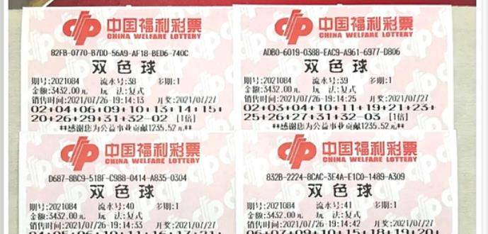 王中王084期指一生肖，解讀背后的秘密與生肖運勢分析，王中王084期生肖揭秘，秘密解讀與運勢展望