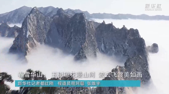 澳門最精準(zhǔn)龍門，探索真正的精準(zhǔn)之道，澳門最精準(zhǔn)龍門，揭秘真正的精準(zhǔn)之道
