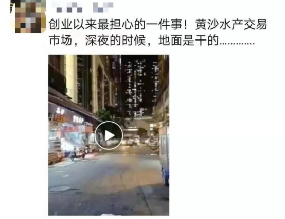 好料盡在王中王——揭秘生肖運(yùn)勢的獨(dú)特魅力，揭秘生肖運(yùn)勢獨(dú)特魅力，王中王好料大解密