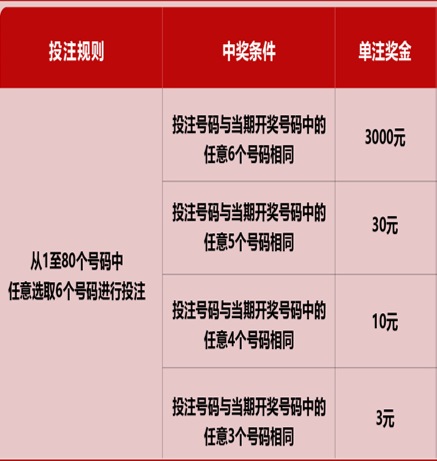 新澳門六開彩天天開獎(jiǎng)結(jié)果，揭秘彩票背后的秘密，揭秘新澳門六開彩天天開獎(jiǎng)背后的秘密