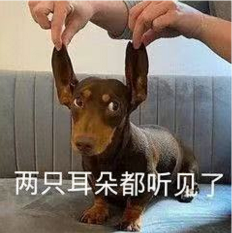 王中王四不象必中一肖，揭秘背后的秘密與策略，揭秘王中王四不象必中一肖背后的秘密與策略之道