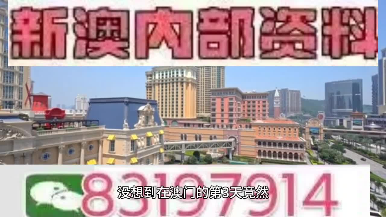 新澳門今晚必開一肖一特，探索生肖與特碼的魅力，澳門生肖特碼探索，今晚必開一肖一特之魅力