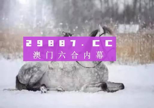 澳門正版精準資料，探索未來的趨勢與機遇（2024年展望），澳門正版精準資料揭秘，未來趨勢與機遇展望（2024年）