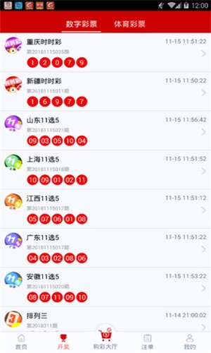 一碼一肖，揭秘背后的秘密與探索其獨特魅力，揭秘一碼一肖背后的秘密與獨特魅力探索