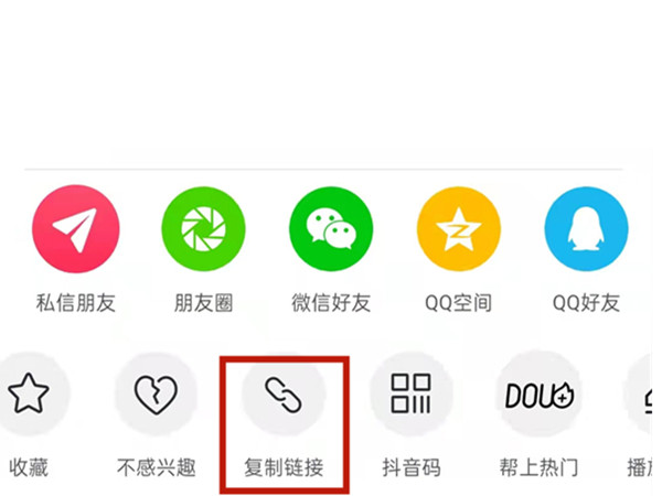 白小姐王中王中特一肖，神秘傳奇與SEO探索，神秘傳奇與SEO探索，白小姐王中王中特一肖的奧秘