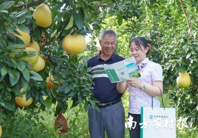 資料大全正版資料2025，一站式獲取所有你需要的信息，資料大全正版資料2025，一站式獲取所有信息總匯