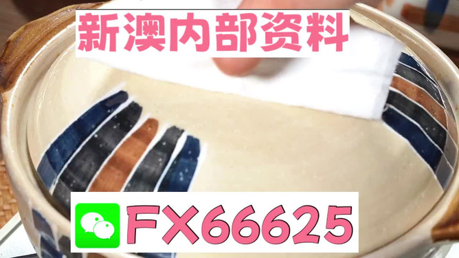 新澳精準(zhǔn)資料免費提供，探索與實踐的指南，新澳精準(zhǔn)資料免費分享，探索與實踐的導(dǎo)航指南