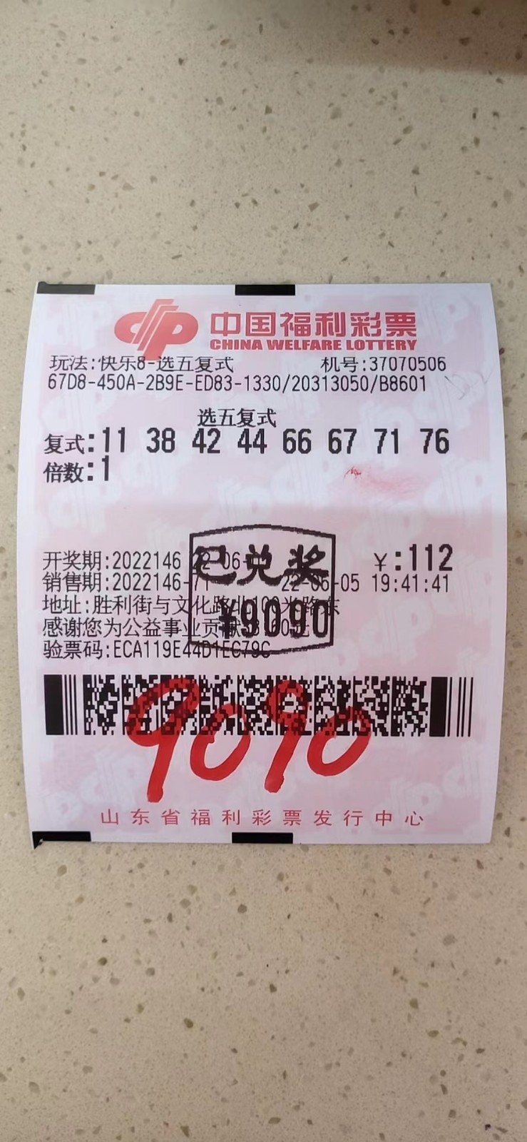 揭秘002期王中王平特一肖，背后的故事與奧秘，揭秘王中王平特一肖背后的故事與奧秘（第002期）