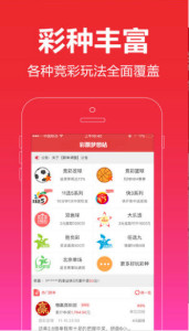 一肖王中王，探尋生肖魅力與SEO優(yōu)化之道，生肖魅力探尋與SEO優(yōu)化策略解析