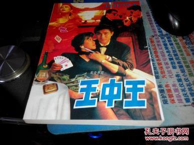 王中王資料一肖中特小說，深度解析與探索，王中王資料一肖中特小說的深度解析與探索之旅