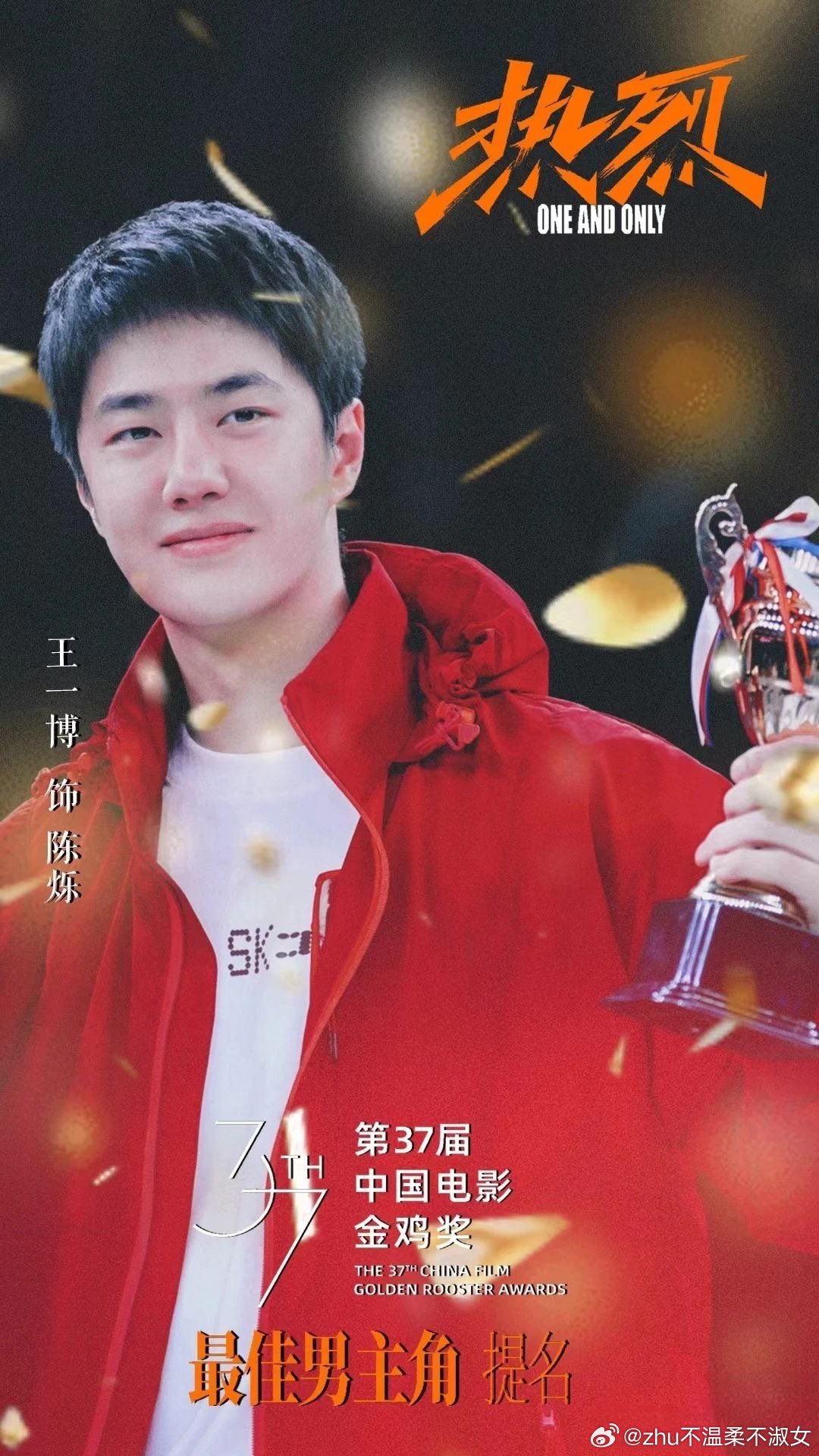 王中王一肖一特一中一中，探尋背后的故事與奧秘，探尋王中王一肖背后的故事與奧秘
