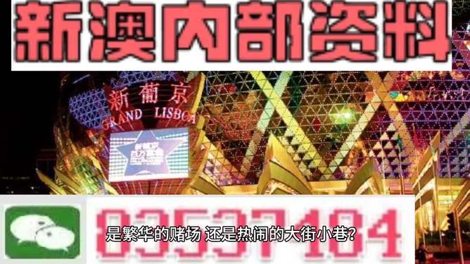 新澳門(mén)精準(zhǔn)資料大全管家婆料，探索與解析，澳門(mén)精準(zhǔn)資料大全解析，探索管家婆料內(nèi)幕