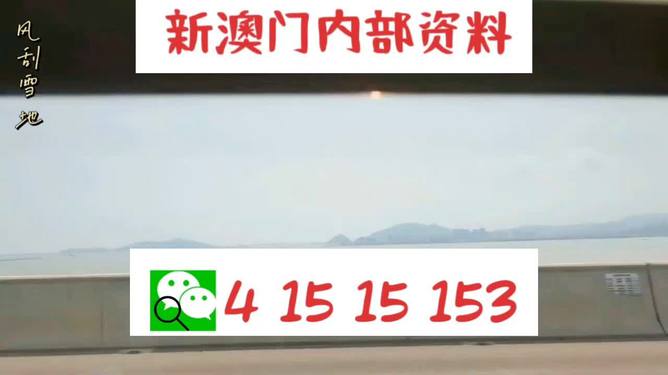 新澳2025最新資料生肖，深度解析與預(yù)測(cè)展望，新澳2025最新生肖資料深度解析與未來(lái)預(yù)測(cè)展望