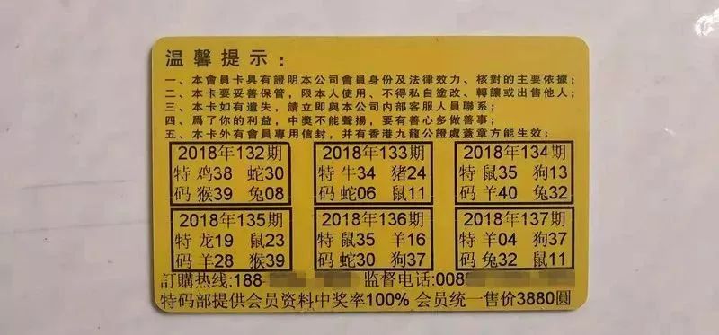香港中特期期準(zhǔn)資料，深度解析與探索，香港中特期期準(zhǔn)資料深度解析與探索報(bào)告