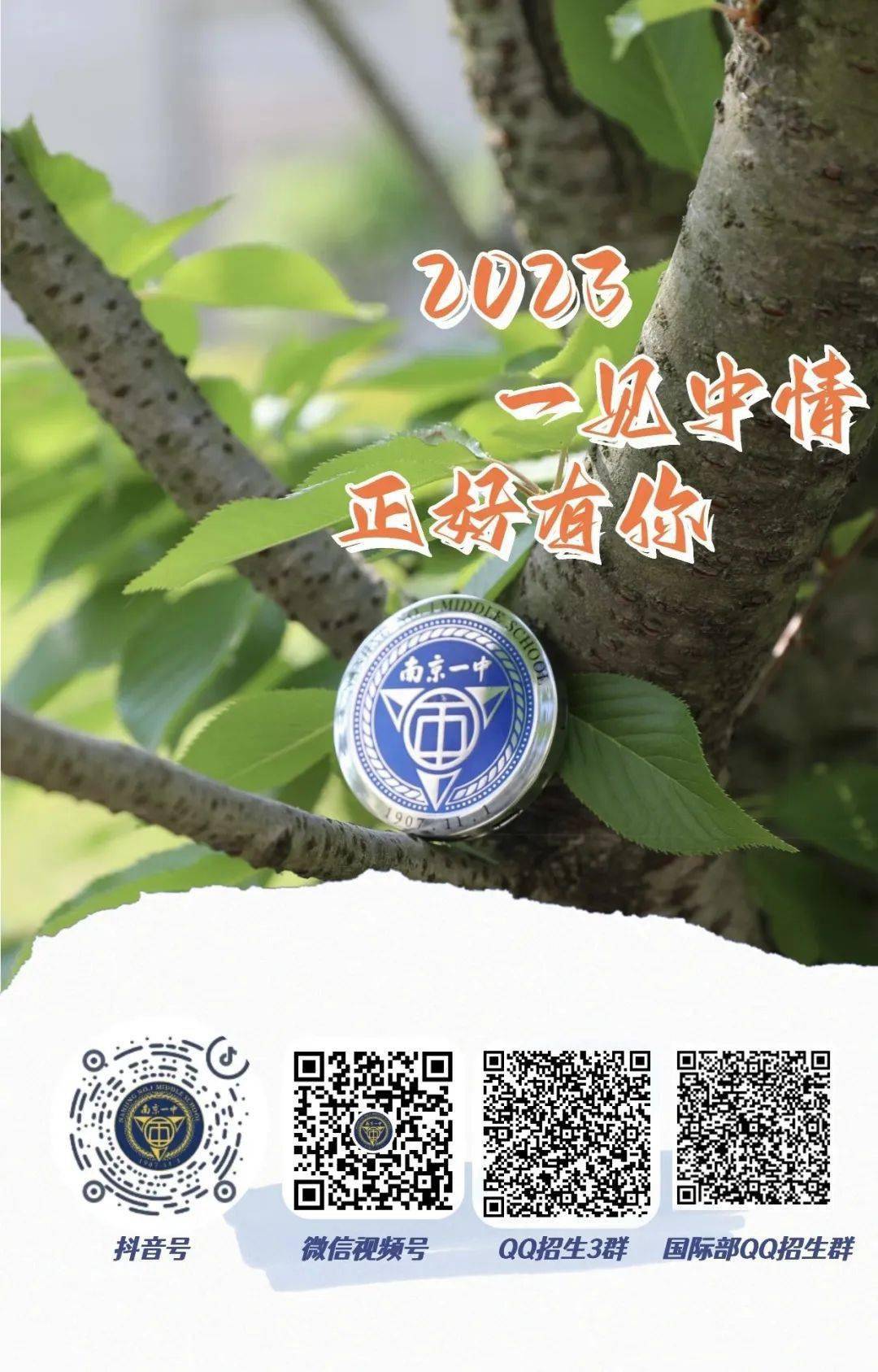 一碼一肖一特一中，揭秘背后的秘密與奧秘，揭秘一碼一肖一特一中背后的秘密奧秘