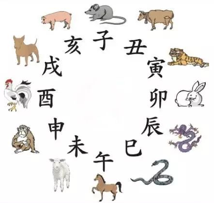 澳門天天彩期期精準(zhǔn)十二生肖預(yù)測——揭秘彩票秘密，澳門天天彩期期精準(zhǔn)十二生肖預(yù)測，揭秘彩票秘密之獨(dú)家解析