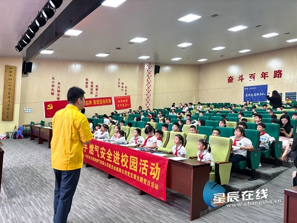 新奧正版資料的SEO優(yōu)化文章，新奧正版資料的SEO優(yōu)化指南