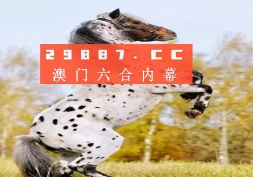 白小姐的精準(zhǔn)免費四肖，揭秘背后的秘密，揭秘白小姐精準(zhǔn)免費四肖背后的秘密