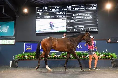 香港最精準的特馬資料，揭秘賽馬世界的秘密，香港精準特馬資料揭秘，賽馬世界的奧秘探秘
