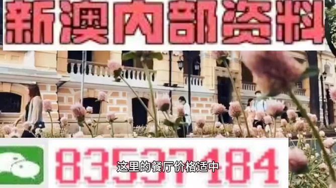 新澳門，探索最精準、最快的信息更新速度，新澳門，追求最快速、精準的信息更新之道
