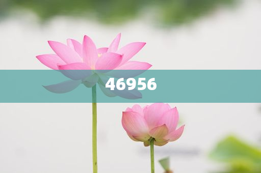 新奧集團，邁向2025，天天開好彩的愿景與挑戰(zhàn)，新奧集團邁向2025，實現(xiàn)天天開好彩的愿景與挑戰(zhàn)