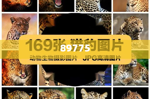 關(guān)于新奧歷史開獎記錄的最新信息，今天公布了嗎？，新奧歷史開獎記錄最新信息公布了嗎？