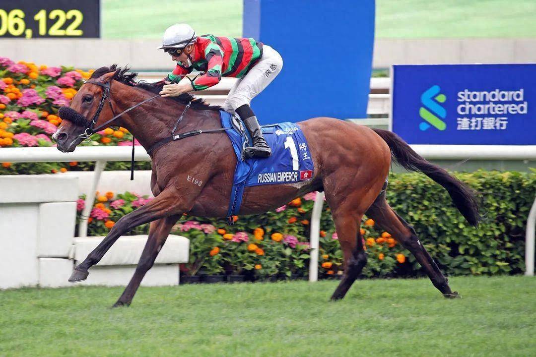 香港馬賽事，探索數(shù)字背后的激情與榮耀 7777788888，香港馬賽事，數(shù)字背后的激情與榮耀