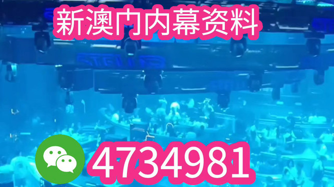 揭秘未來之星，2025新澳王中王，揭秘未來之星，2025新澳王中王風(fēng)采展示