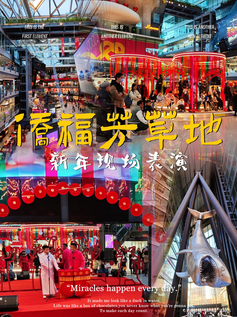 最新揭秘，2024新澳芳草地全方位資料詳解，揭秘2024新澳芳草地全方位資料，最新詳解