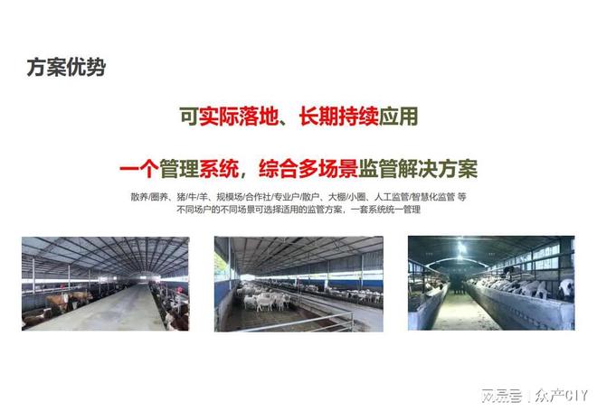探索新澳芳草地，正版資料的免押之旅（2025年最新資訊），探索新澳芳草地，正版資料免押之旅（最新資訊）