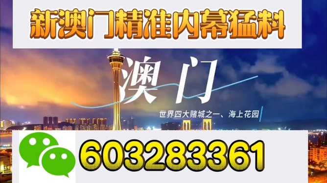 新澳門今晚開獎結(jié)果揭曉，探索彩票背后的秘密與期待，新澳門今晚開獎結(jié)果揭曉，彩票背后的秘密與期待揭曉之夜