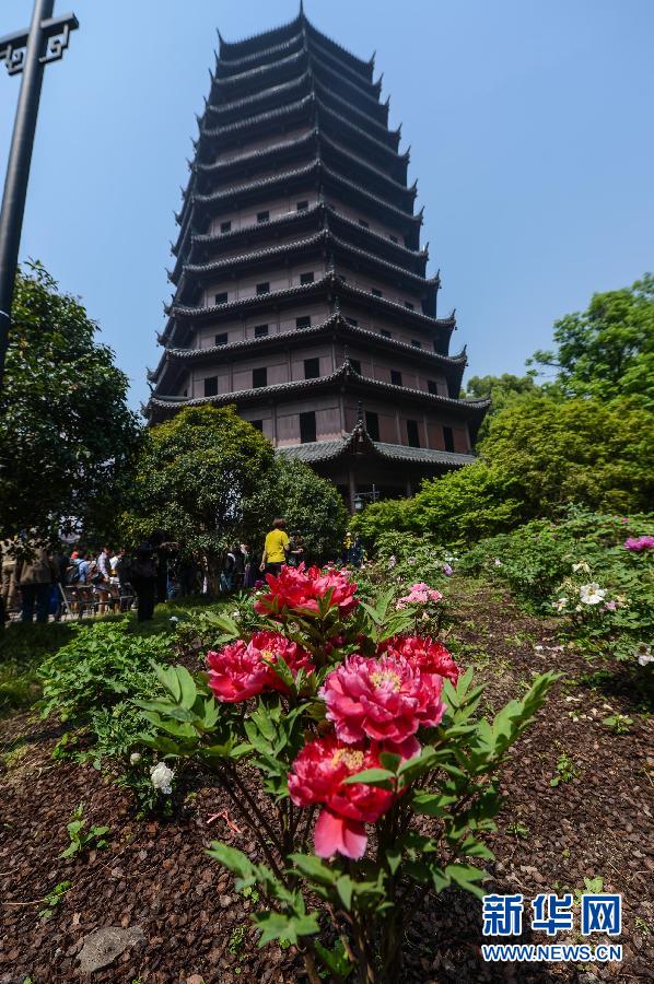 六和彩開碼資料網——探索彩票世界的門戶，六和彩開碼資料網，彩票世界探索之門
