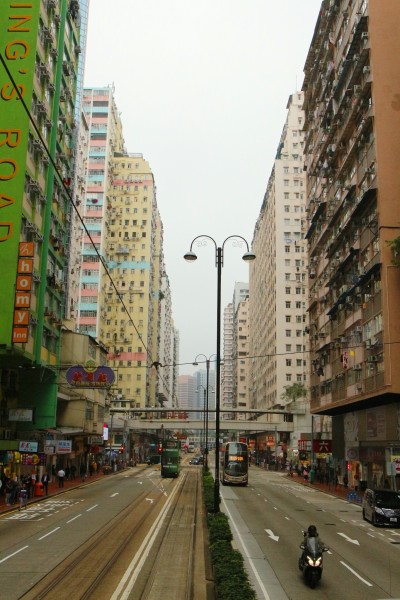 澳門最準(zhǔn)五肖預(yù)測(cè)，揭秘準(zhǔn)確預(yù)測(cè)背后的秘密，澳門最準(zhǔn)五肖預(yù)測(cè)揭秘，準(zhǔn)確預(yù)測(cè)背后的秘密探究