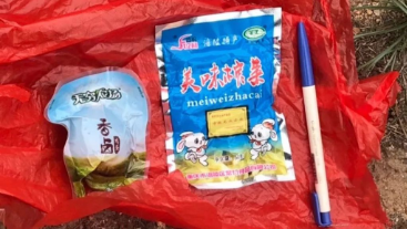 澳門最精準(zhǔn)龍門，探索真實的精準(zhǔn)之道，澳門最精準(zhǔn)龍門，揭秘真實精準(zhǔn)之道
