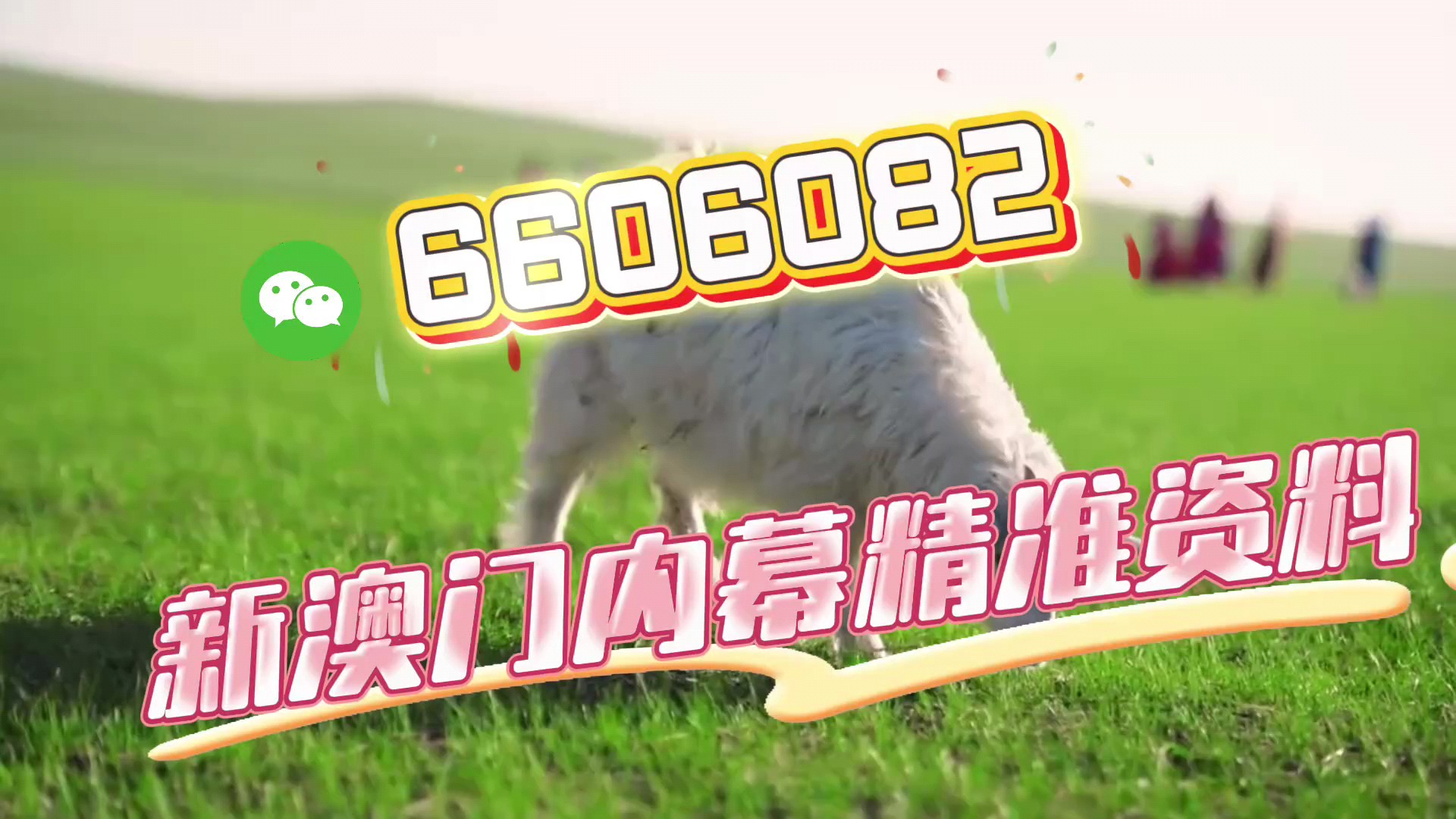 澳門今晚必開一肖一特，揭秘生肖彩票的魅力與預(yù)測技巧，澳門生肖彩票預(yù)測揭秘，一肖一特魅力與預(yù)測技巧探討