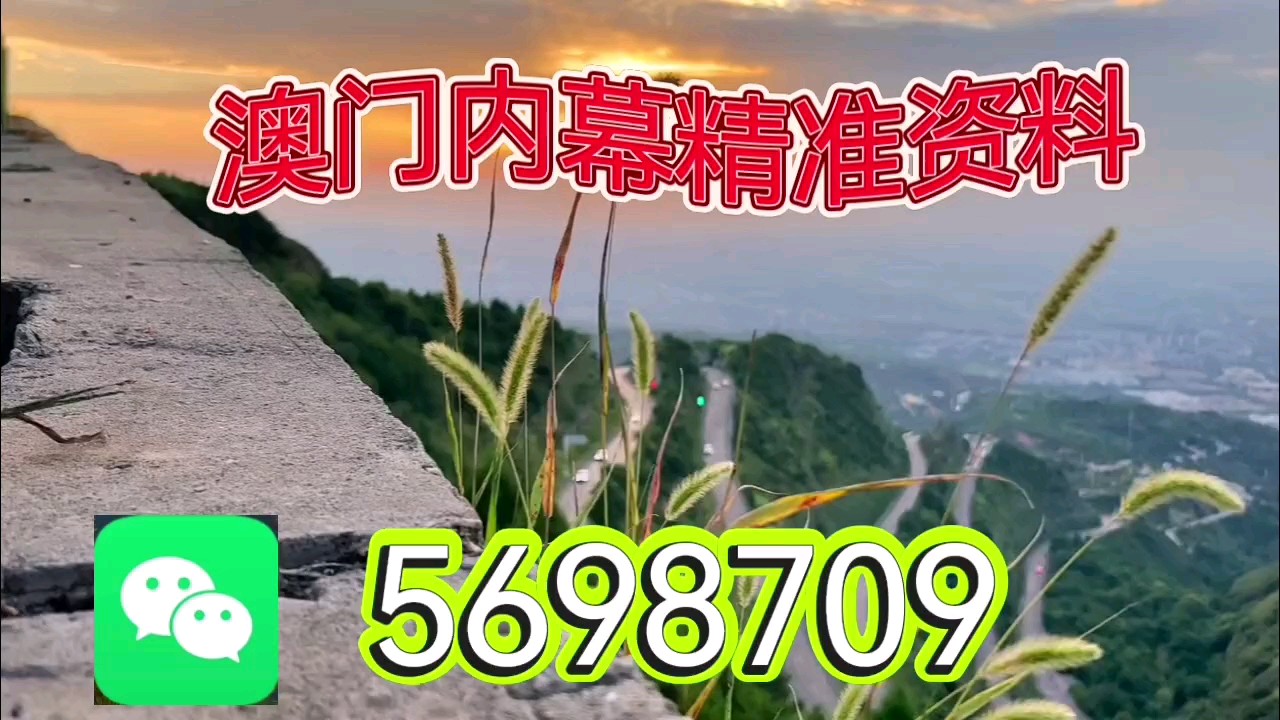 新澳天天開彩資料大全——探索彩票世界的奧秘，新澳天天開彩資料大全，揭秘彩票世界的神秘面紗