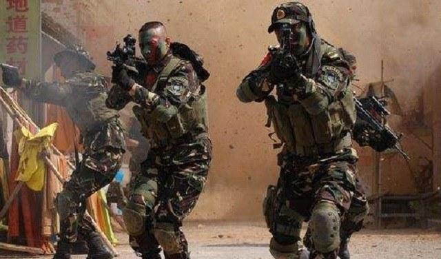 中國(guó)兩個(gè)特種兵叛變，深度解析與反思，中國(guó)特種兵叛變事件，深度分析與反思