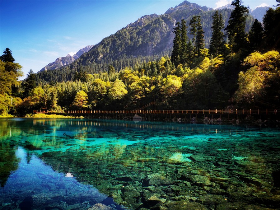 阿壩旅游網(wǎng)，探索九寨溝門票的最佳選擇，阿壩旅游網(wǎng)，探索九寨溝門票的最佳平臺(tái)