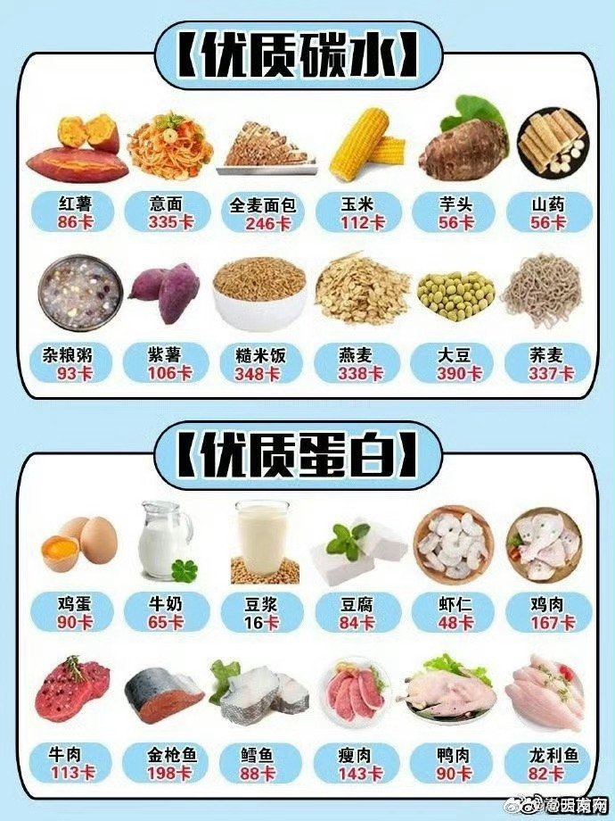 各種食物熱量表大全，健康飲食的必備指南，食物熱量表全面解析，健康飲食的必備指南