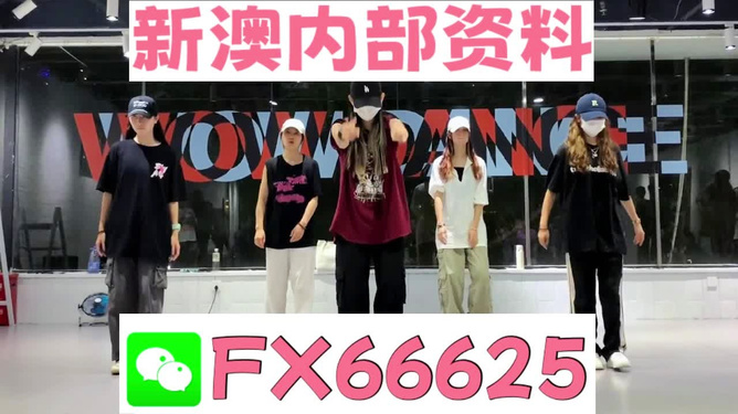 新奧天天免費(fèi)資料大全——探索與優(yōu)化的SEO之旅，新奧天天免費(fèi)資料大全，SEO探索與優(yōu)化之旅