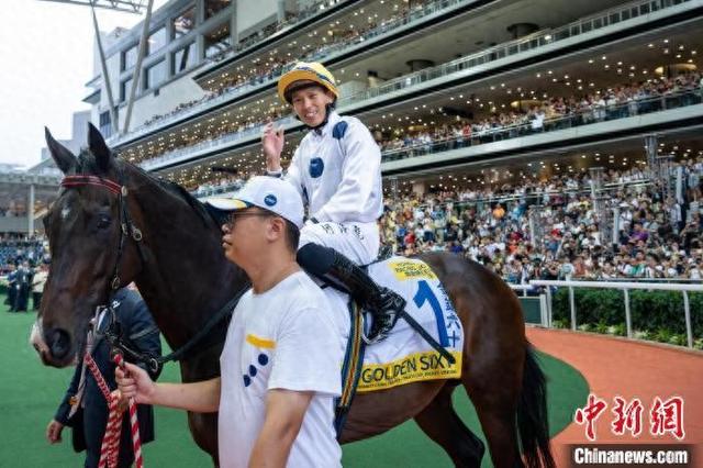 香港特馬王資料免費(fèi)公開(kāi)，深度解析與探索，香港特馬王資料深度解析與探索，免費(fèi)公開(kāi)揭秘