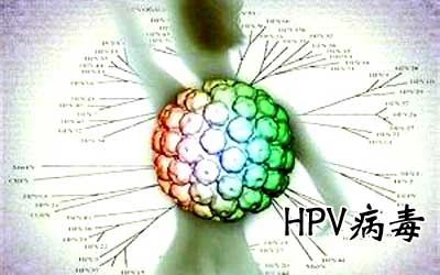 HPV病毒能否徹底清除？深度解析與應(yīng)對策略，深度解析HPV病毒能否徹底清除，應(yīng)對策略及應(yīng)對方法