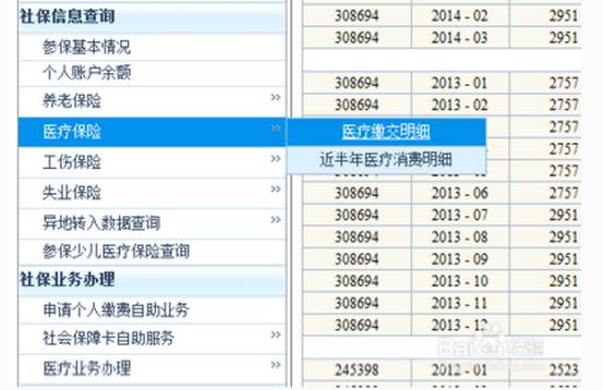 2025新澳門(mén)歷史記錄查詢(xún)完全指南，澳門(mén)歷史記錄查詢(xún)完全指南（2025版）